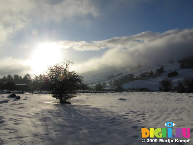 SX02568 Shadow of tree on snow in Wicklow mountains